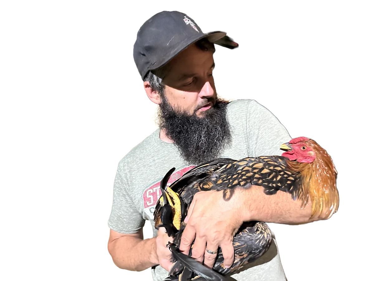 The Beard - Security Patrol